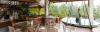Photo for Olives Resort in Wayanad Kalpetta