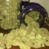 Photo for How to get weed seeds for sale in British Columbia