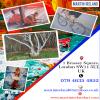 Photo for Biggest Art Store | Martin Ireland - Art in London