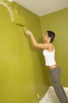 Photo for True Green Handyman Services