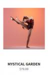 Photo for Get the best quality leotards for women for the best price