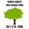 Photo for Corpus Christi Tree Service Pros