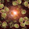 Photo for Procalcitonin Antibody Market - Opportunity Analysis, 2018 - 2026