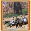 Photo for Bryce Canyon Area Horseback Riding