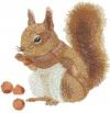 Photo for Free Machine Embroidery Designs