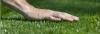 Photo for Jake's Lawn Care and Landscaping
