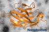 Photo for Nanobodies Market - Global Industry Insights, Trends, Outlook, and Analysis, 2018-2026