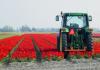 Photo for Birdhill Plant Hire/Groundworks