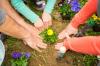 Photo for Lindy's Landscaping of Morristown