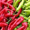 Photo for Chili Pepper