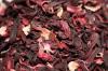 Photo for Hibiscus Flower