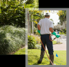 Photo for Galvez Lawn and Maintenance Services