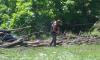 Photo for Furr's Tree & Landscaping Manassas