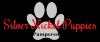 Photo for Silver Nickle Puppies
