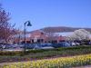 Photo for Levin-Managed The Hills Village Center Welcomes Liberty Travel