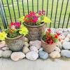 Photo for Allen Landscape and Drainage