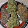 Photo for Try Best weed for sale in Quebec at Budtrader Quebec