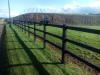 Photo for Post and rail fencing