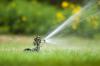 Photo for AJ Maldonado Sprinkler Repair & Yard Works
