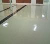 Photo for Prospect Cleaning Company