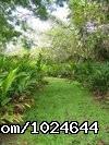 Photo for Hana Maui Botanical Gardens B&B/Vacation Rentals