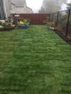 Photo for Queen Bee Lawn Service