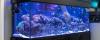 Photo for Buy Affordable Aquarium Supplies Today