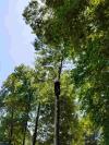 Photo for Gamez Sorto Landscaping LLC