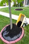 Photo for Goodluck Landscaping Service