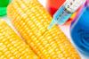 Photo for Genetically Modified Seeds Market- Industry Insights, Trends, Outlook, and Opportunity Analysis, 2018-2026