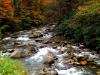 Photo for NC Cabin Rentals | Big Bear Franklin NC, Smoky Mountains Lodging
