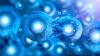 Photo for Stem Cell Market Report Trends, Size, Share, Growth and Forecast 2024