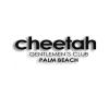 Photo for Cheetah Palm Beach