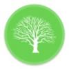 Photo for High Point Tree Management