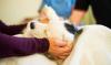 Photo for American Veterinary Imaging Market Research Report by Size, Trend, Opportunities & Future Assessment Up To 2024