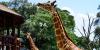 Photo for Nairobi City Excursions
