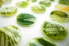 Photo for Algae Products Market Research Report by Size, Trend, Opportunities & Future Assessment Up To 2024