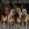 Photo for Pryme Tyme Kennels