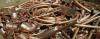 Photo for Future of Global Ferrous Recycled Metal Market Discussed in New Research Report