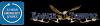 Photo for Eagle Georgetown Wrecker Service