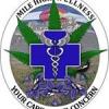 Photo for Mile High Wellness-Green Street