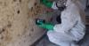 Photo for Catstrong Mold Inspection of New Braunfels