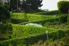 Photo for Alcaraz Gardening Service