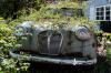 Photo for Brown's Quality Lawn's Care, Junk and Trash Removal & Foreclosure Clean-up
