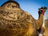 Photo for Get your vacations in Rajasthan book your tours packages