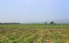 Photo for A1-AG Sprinkler Repair