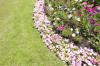 Photo for Juan Perez Lawn Services LLC