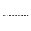 Photo for Jaguar Roanoke
