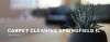 Photo for Carpet Cleaning Springfield IL