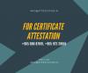 Photo for Educational Certificate Attestation